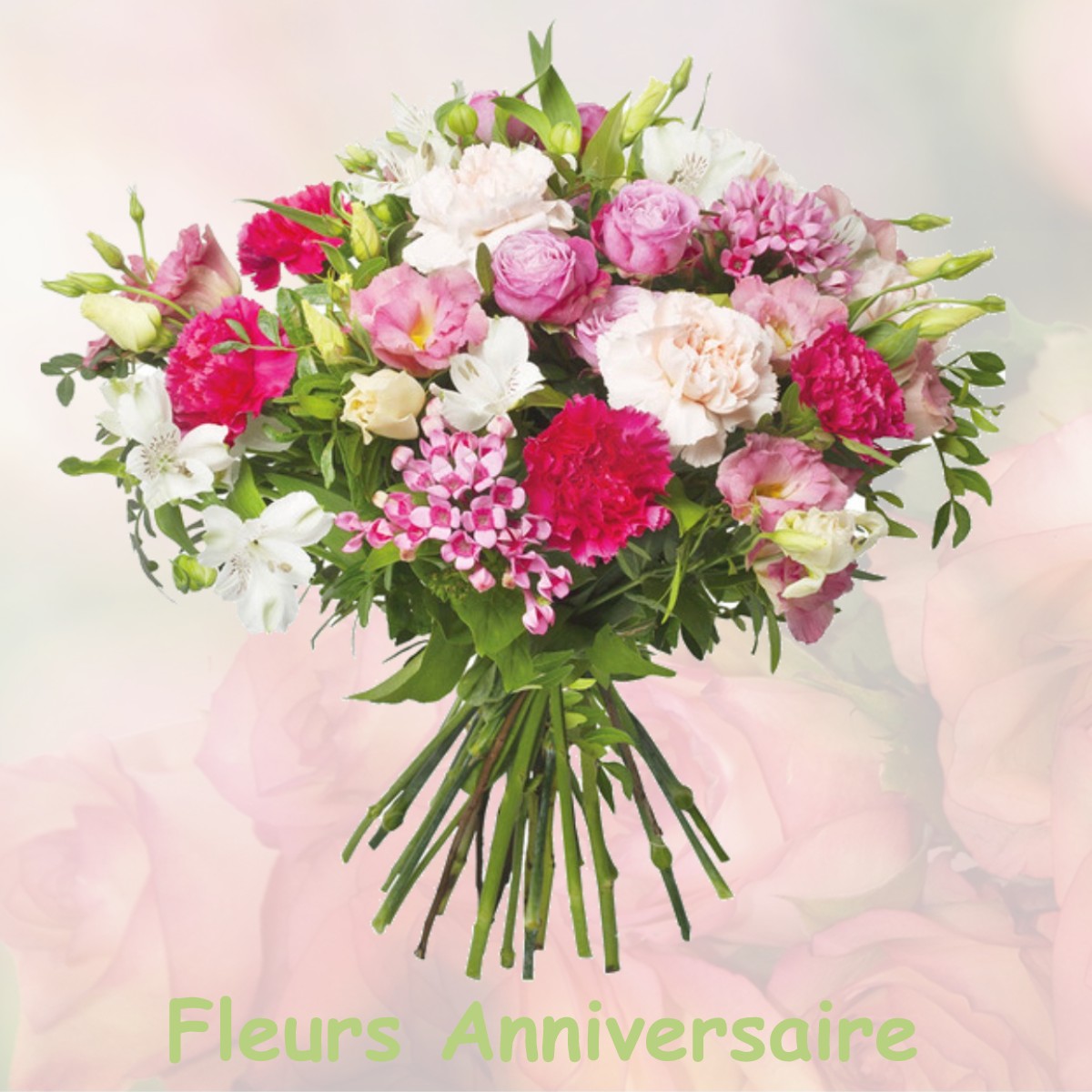 fleurs anniversaire TANUS